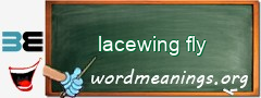 WordMeaning blackboard for lacewing fly